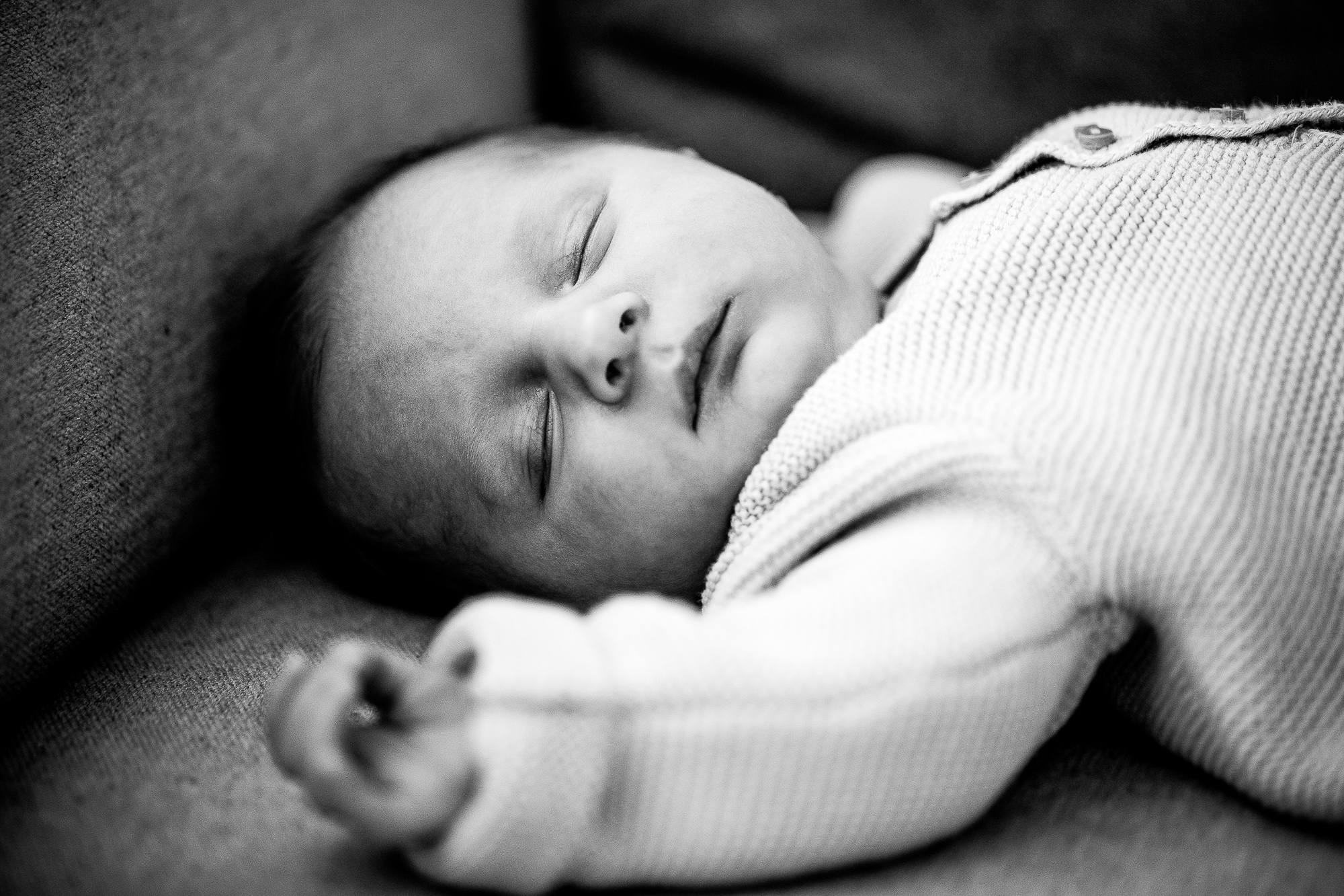 Export x3 1DX28378 Bearbeitet Familienfotoshooting 2019 Hefti